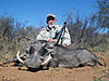 hunting-warthog1.jpg