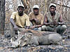 hunting-warthog2.jpg