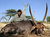 hunting-waterbuck-02.jpg