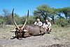 hunting-waterbuck1.jpeg