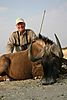 hunting-wildebeest-004.jpg