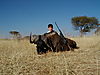 hunting-wildebeest-010.JPG