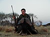 hunting-wildebeest-013.jpg