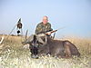 hunting-wildebeest-0321.jpg