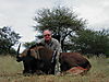 hunting-wildebeest-0421.JPG