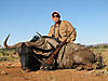 hunting-wildebeest-14.jpg