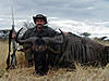 hunting-wildebeest-17.jpg