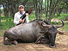 hunting-wildebeest-20.jpg