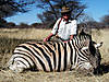 hunting-zebra-17.jpg