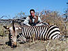 hunting-zebra-18.jpg