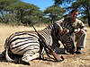 hunting-zebra-23.jpg