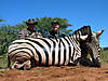 hunting-zebra-24.jpg