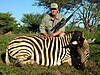 hunting-zebra-25.jpg