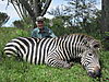 hunting-zebra10.JPG