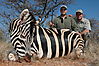 hunting-zebra8.jpg