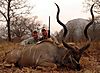 hunting-zimbabwe-35.jpeg