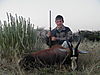 hunting_blesbok_015.JPG