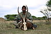 hunting_blesbok_019.JPG