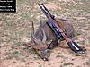 hunting_bushbuck3.jpeg