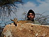 hunting_damara_dik_dik_007.JPG