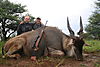 hunting_eland_009.JPG