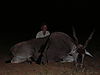 hunting_eland_013.JPG