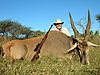 hunting_eland_014.JPG