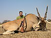 hunting_eland_017.JPG