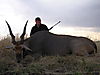 hunting_eland_018.JPG