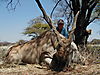 hunting_eland_034.jpg