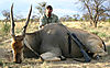 hunting_eland_047.jpg