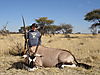 hunting_gemsbok_032.JPG