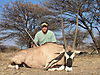 hunting_gemsbok_065.JPG