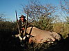 hunting_gemsbok_092.jpg