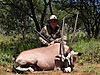 hunting_gemsbok_106.jpg
