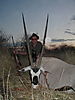 hunting_gemsbok_130.JPG