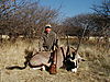 hunting_gemsbok_134.JPG