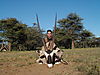 hunting_gemsbok_147.JPG