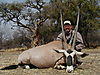 hunting_gemsbok_165.JPG