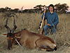 hunting_hartebeest_009.JPG