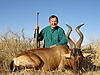 hunting_hartebeest_010.JPG