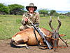 hunting_hartebeest_014.JPG