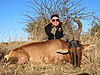 hunting_hartebeest_020.JPG