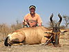 hunting_hartebeest_026.JPG