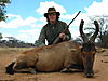 hunting_hartebeest_027.JPG