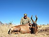 hunting_hartebeest_033.jpg