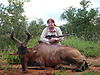 hunting_hartebeest_052.jpg