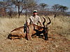 hunting_hartebeest_059.JPG