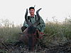 hunting_hartebeest_062.JPG