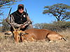 hunting_impala_032.JPG